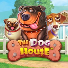 The Dog House