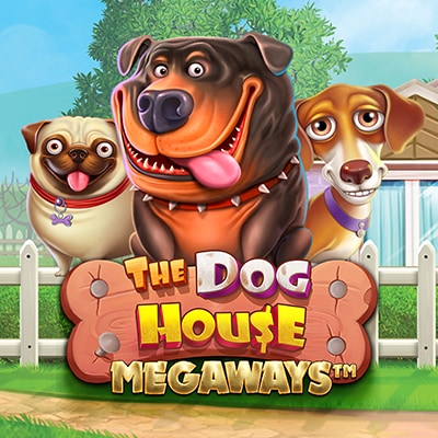 The Dog