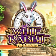 White Rabbit