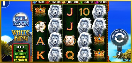 Full Moon: White King screenshot