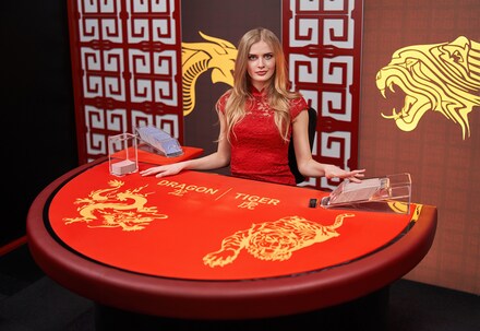Dragon Tiger screenshot