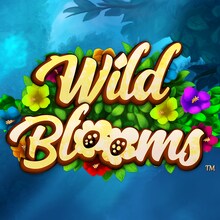 Wild Blooms