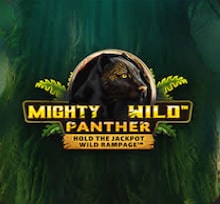 Mighty Wild Panther