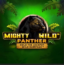 Mighty Wild Panther