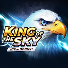 King of the Sky: Hit the Bonus™