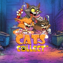 Cats Collect
