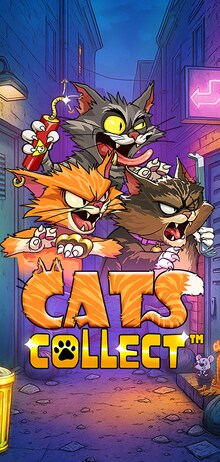 Cats Collect